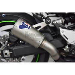 Silencieux TERMIGNONI Slip-On Conique Kawasaki Z 900 / Z 900 RS 2017-...